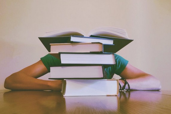 IB课程的影响力有多大