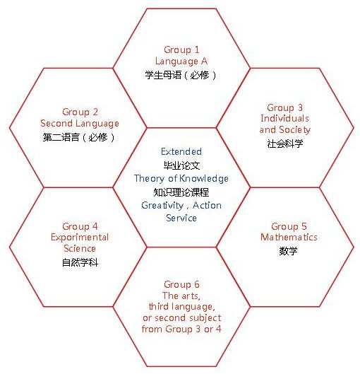 热门IB课程你们是怎么选课的？